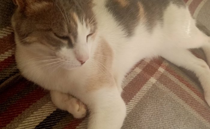 Rhodes to Dalyan – 8th & 9th&nbsp;July