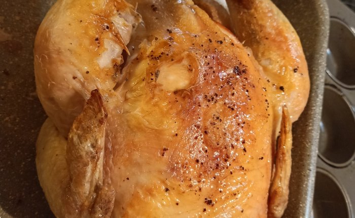 Dalyan – 19th&nbsp;July