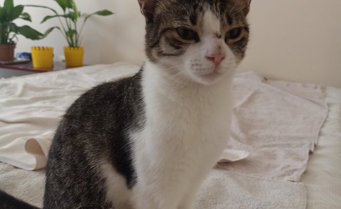 Dalyan – 6th to 8th&nbsp;August