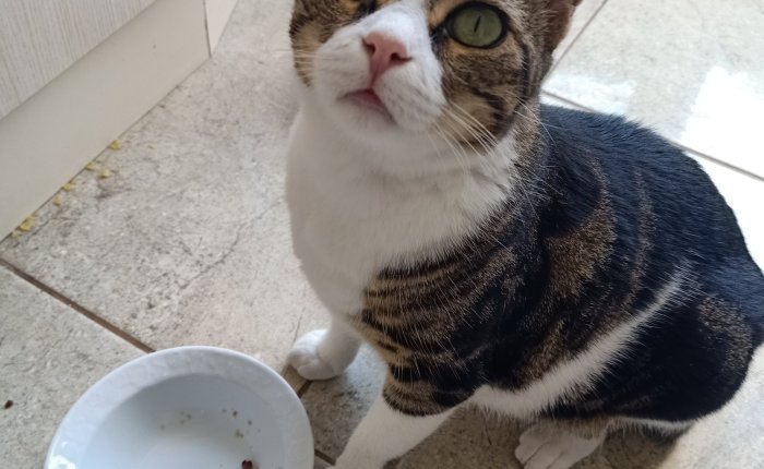 Dalyan – 14th&nbsp;August