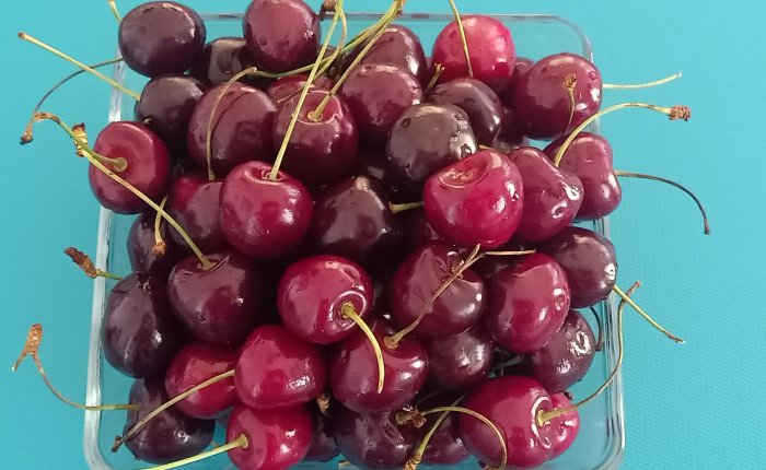 Dalyan – 17th&nbsp;August