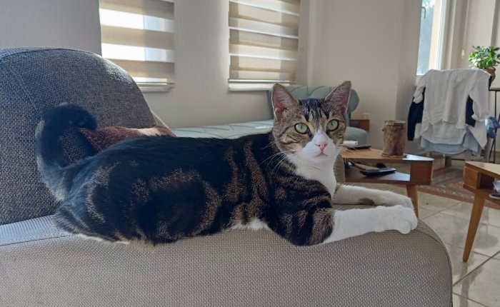 Dalyan – 19th & 20th&nbsp;August