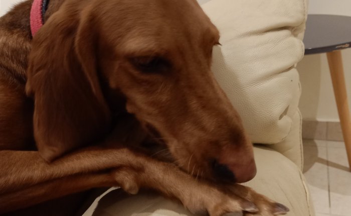 Lardos – 6th&nbsp;September