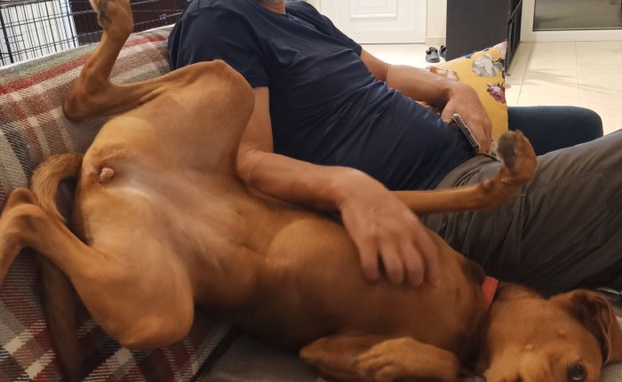 Lardos – 7th&nbsp;September