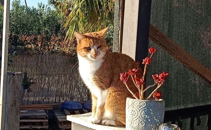 Dalyan – 16th & 17th&nbsp;November