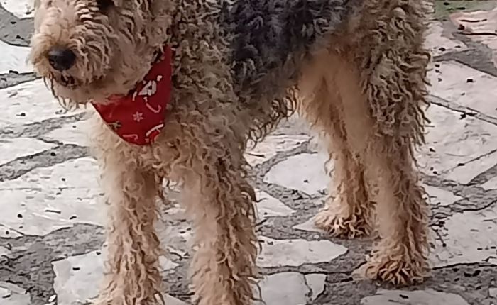 Dalyan – 27th & 28th&nbsp;December