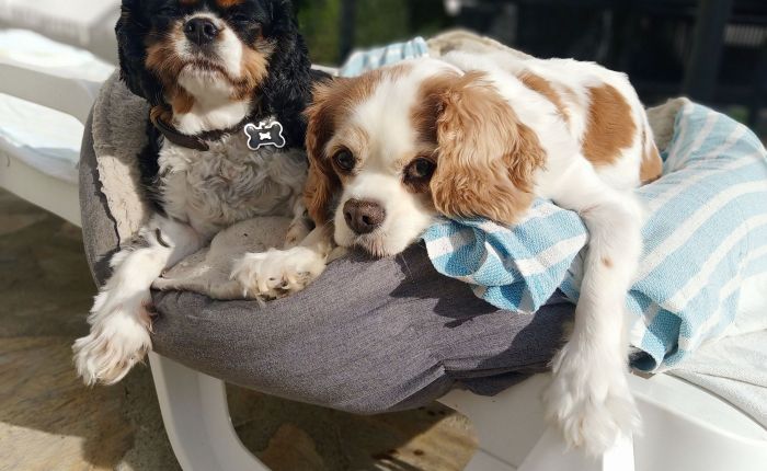 Dalyan – 30th & 31st&nbsp;December