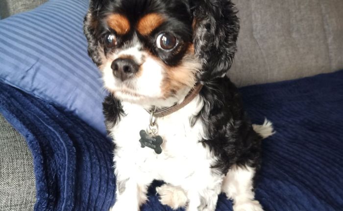 Dalyan – 2nd&nbsp;January