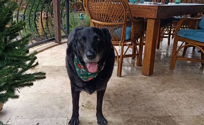 Dalyan – 3rd & 4th&nbsp;January