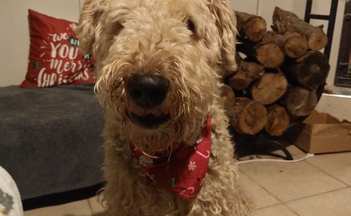 Dalyan – 7th&nbsp;January