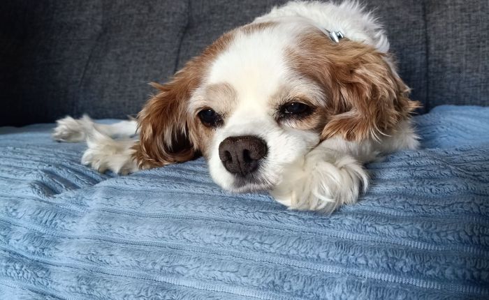 Dalyan – 12th to 14th&nbsp;January