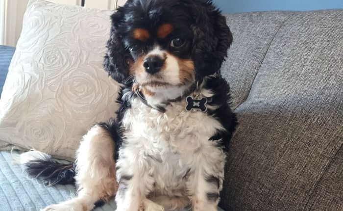 Dalyan – 17th&nbsp;January