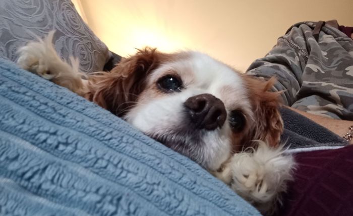 Dalyan – 20th&nbsp;January