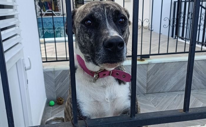 Dalyan – 21st&nbsp;January