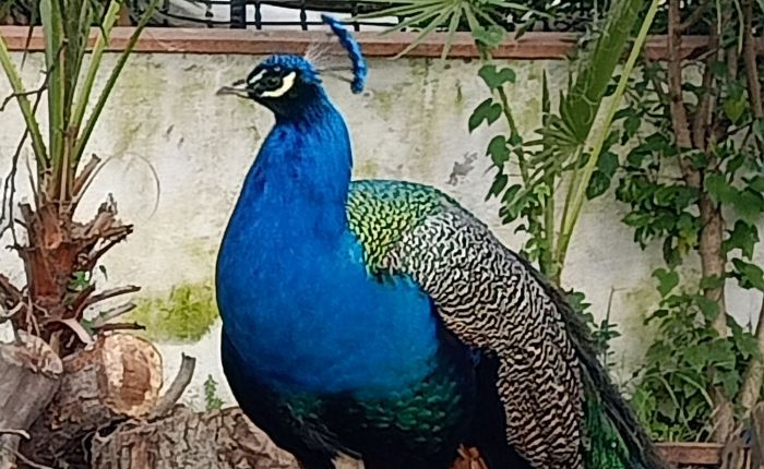 Dalyan & Köyceğiz – 29th&nbsp;January