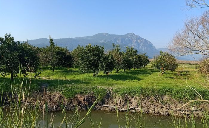 Dalyan – 3rd & 4th&nbsp;February