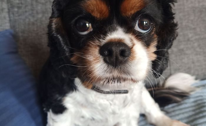 Dalyan – 22nd & 23rd&nbsp;February