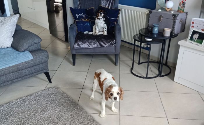 Dalyan – 26th & 27th&nbsp;February