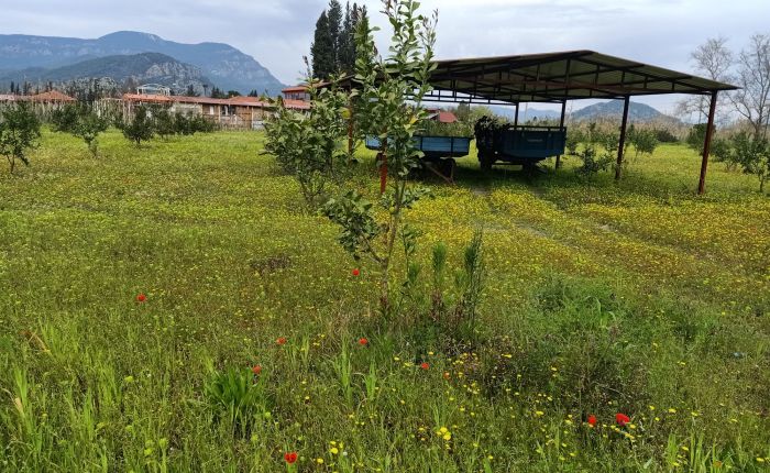 Dalyan – 1st & 2nd&nbsp;March