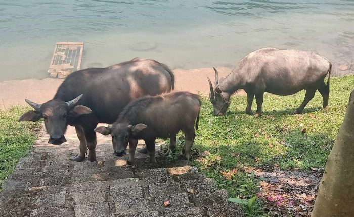 Phong Nha – 23rd&nbsp;March