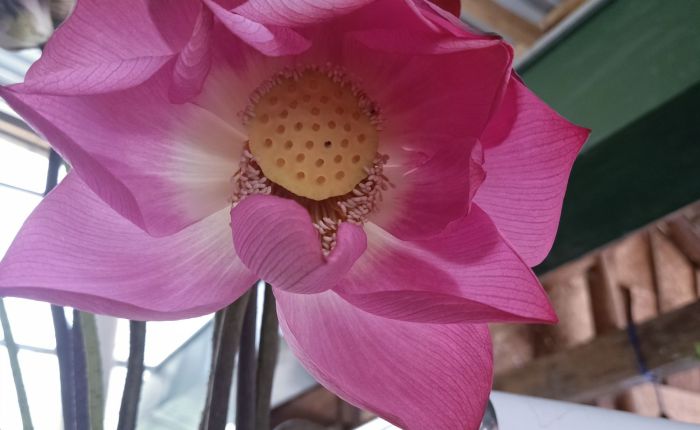 Phong Nha – 9th&nbsp;May