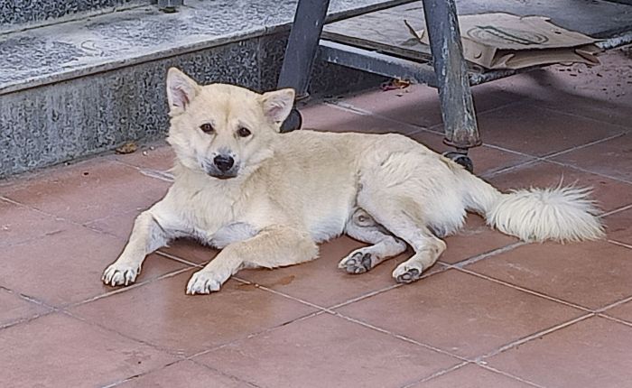 Dong Hoi – 5th&nbsp;June