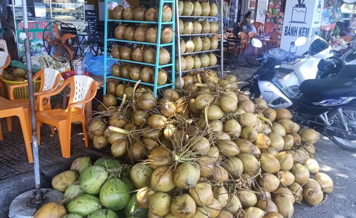 Dong Hoi – 10th&nbsp;June