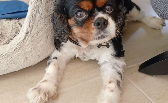 Dalyan to Dalaman airport – 6th & 7th&nbsp;July