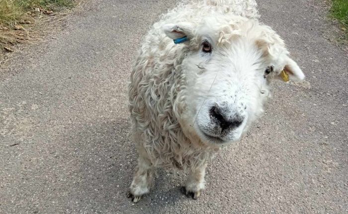 Sheffield & Derbyshire – 29th&nbsp;July