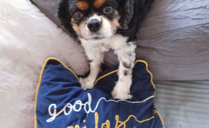 Dalyan – 29th to 31st&nbsp;August