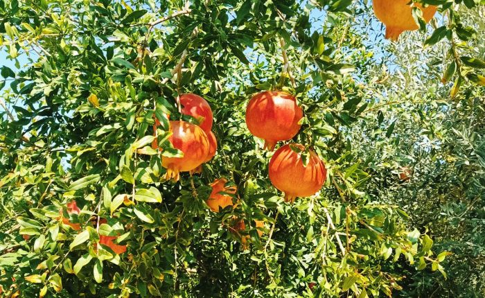 Dalyan – 21st&nbsp;September