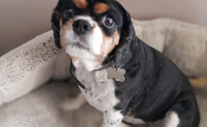 Fethiye & Dalyan – 23rd&nbsp;September