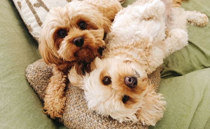 Dalyan – 24th&nbsp;September