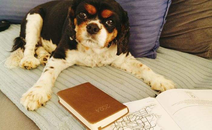 Dalyan – 4th&nbsp;October