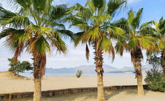 Dalyan – 4th&nbsp;November