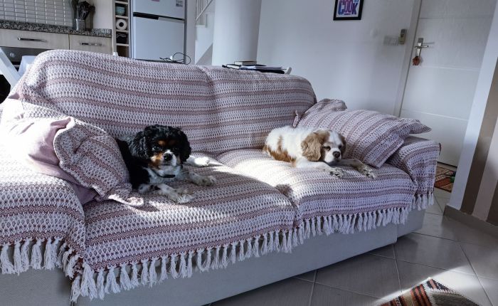 Dalyan – 15th&nbsp;November