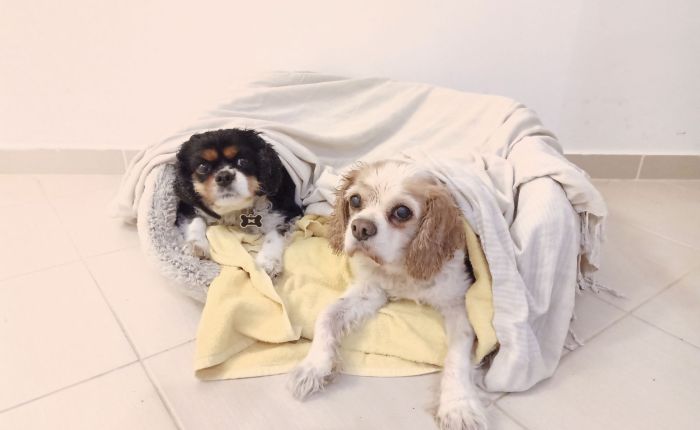 Dalyan – 16th&nbsp;November