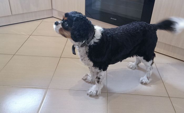 Dalyan – 18th&nbsp;November