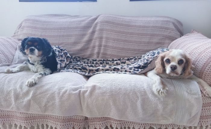 Dalyan – 21st&nbsp;November