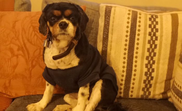 Dalyan – 28th&nbsp;November