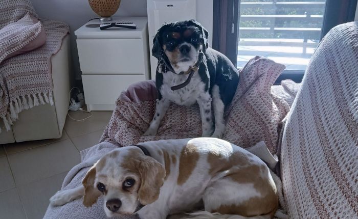 Dalyan – 29th&nbsp;November