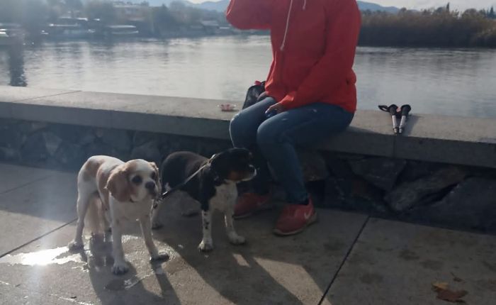 Dalyan – 15th&nbsp;December