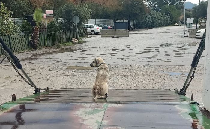 Dalyan – 29th&nbsp;December