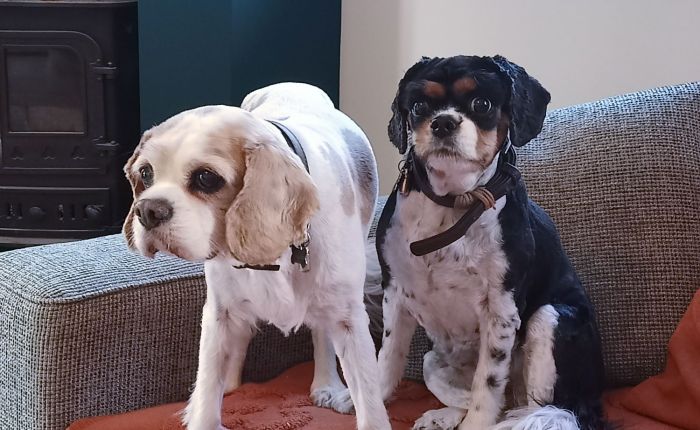 Dalyan – 2nd&nbsp;December