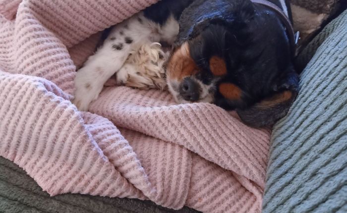 Dalyan – 5th&nbsp;December