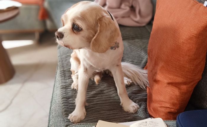 Dalyan – 6th&nbsp;December