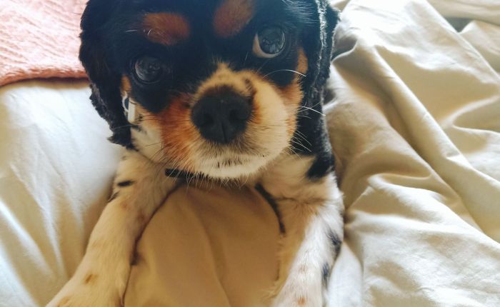 Dalyan – 12th&nbsp;December