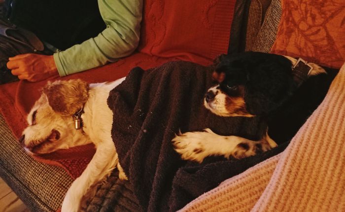 Dalyan – 18th&nbsp;December