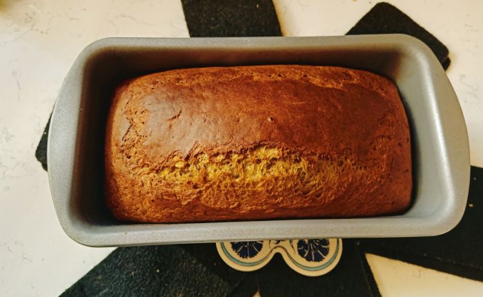 Dalyan – 19th&nbsp;December