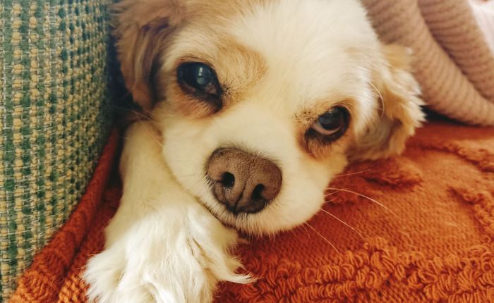 Dalyan – 23rd&nbsp;December